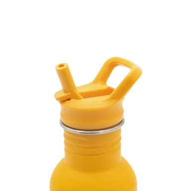 Stainless Steel Bottle - 500 ml - Chompy The Lion